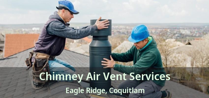 Chimney Air Vent Services Eagle Ridge, Coquitlam - BC