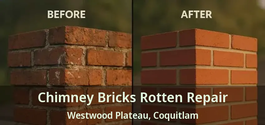 Chimney Bricks Rotten Repair Westwood Plateau, Coquitlam - BC