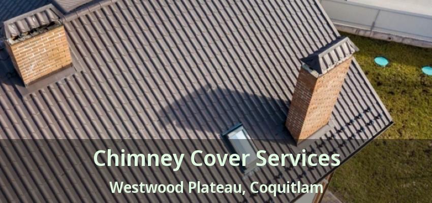 Chimney Cover Services Westwood Plateau, Coquitlam - BC