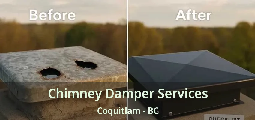 Chimney Damper Services Coquitlam - BC