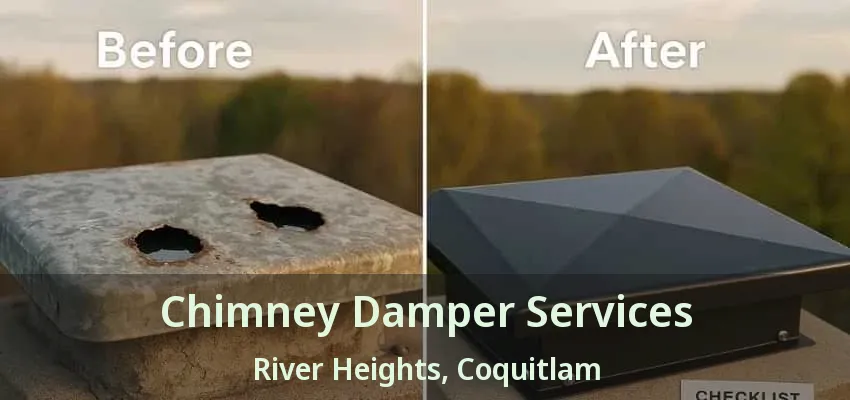 Chimney Damper Services River Heights, Coquitlam - BC