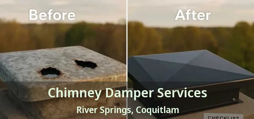 Chimney Damper Services River Springs, Coquitlam - BC