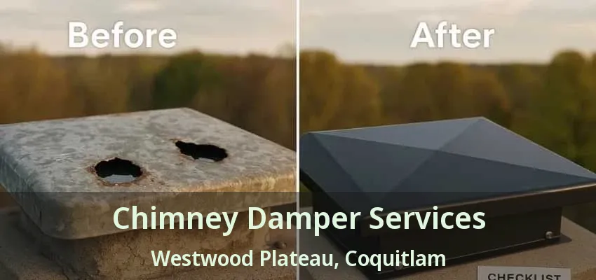 Chimney Damper Services Westwood Plateau, Coquitlam - BC