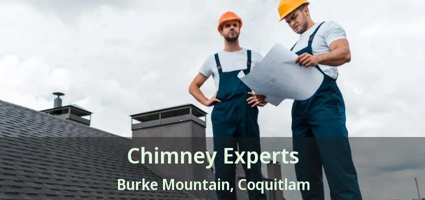 Chimney Experts Burke Mountain, Coquitlam - BC