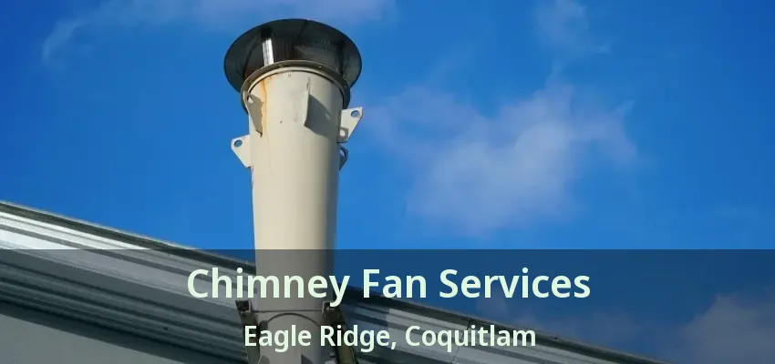 Chimney Fan Services Eagle Ridge, Coquitlam - BC