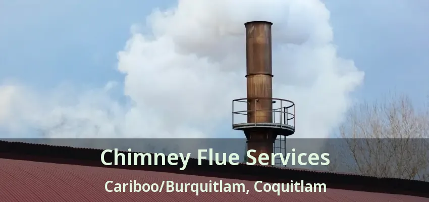 Chimney Flue Services Cariboo/Burquitlam, Coquitlam - BC