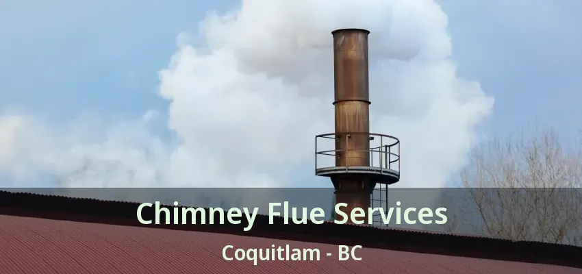 Chimney Flue Services Coquitlam - BC