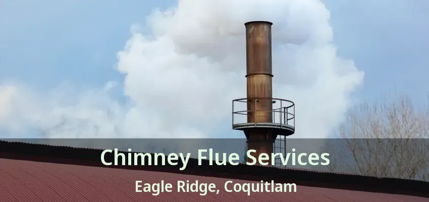 Chimney Flue Services Eagle Ridge, Coquitlam - BC