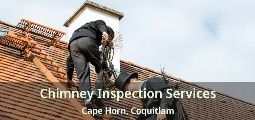 Chimney Inspection Services Cape Horn, Coquitlam - BC