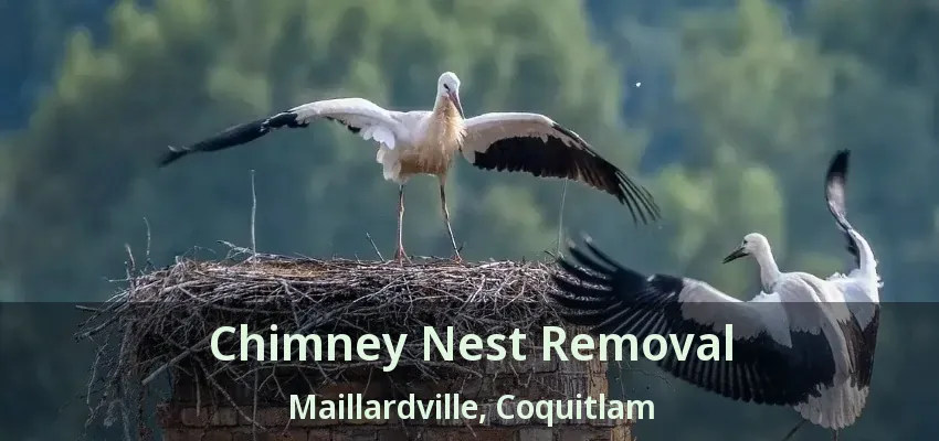 Chimney Nest Removal Maillardville, Coquitlam - BC