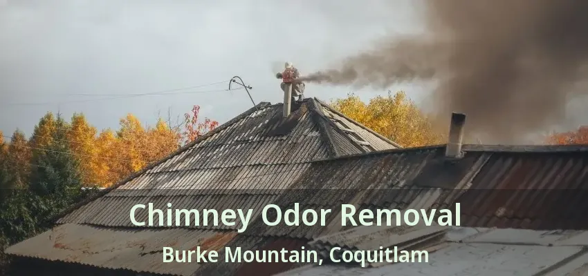 Chimney Odor Removal Burke Mountain, Coquitlam - BC