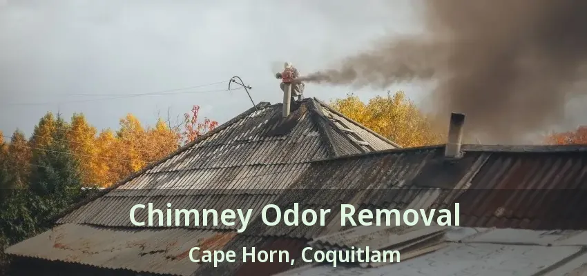 Chimney Odor Removal Cape Horn, Coquitlam - BC
