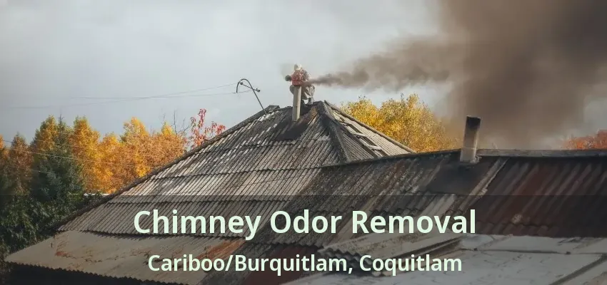 Chimney Odor Removal Cariboo/Burquitlam, Coquitlam - BC