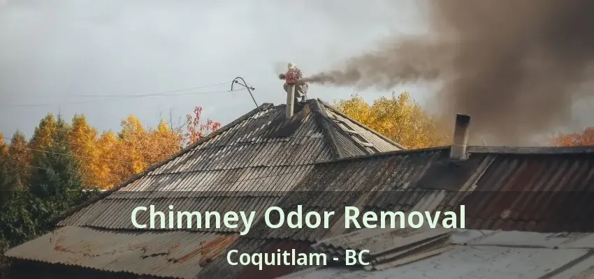 Chimney Odor Removal Coquitlam - BC