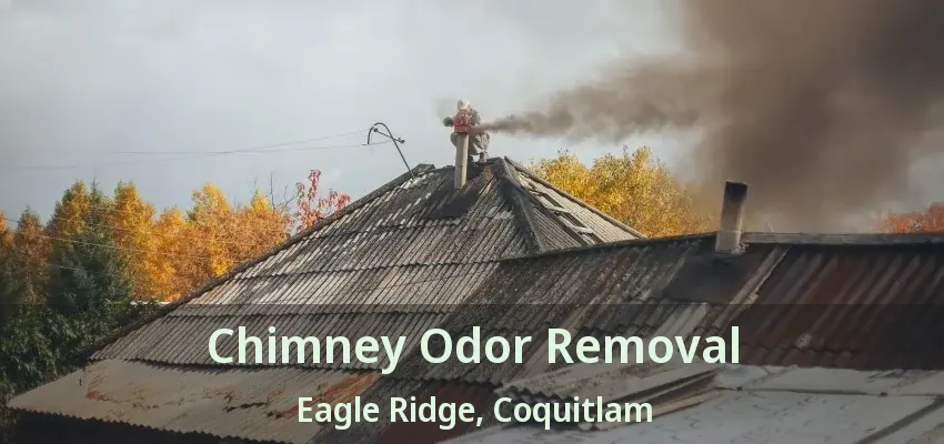 Chimney Odor Removal Eagle Ridge, Coquitlam - BC