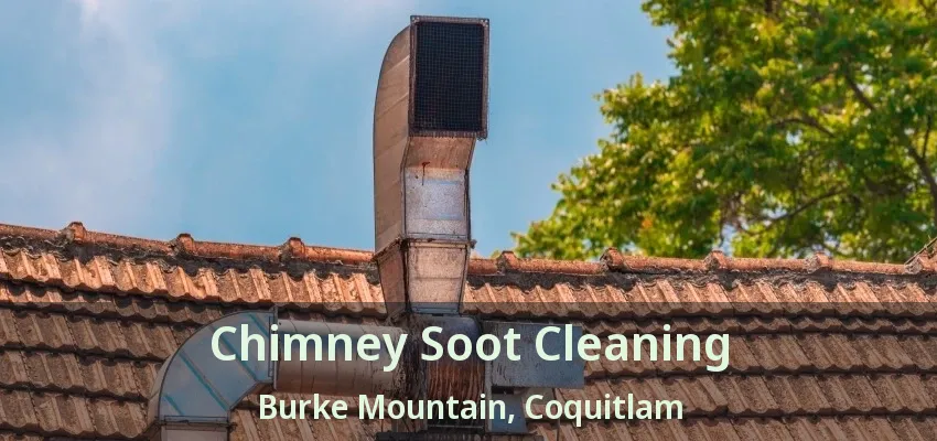 Chimney Soot Cleaning Burke Mountain, Coquitlam - BC