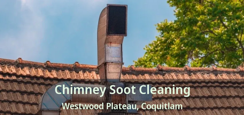Chimney Soot Cleaning Westwood Plateau, Coquitlam - BC