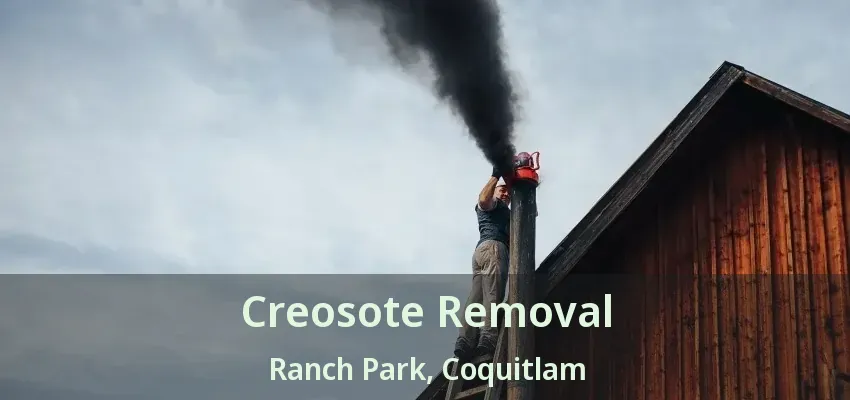Creosote Removal Ranch Park, Coquitlam - BC