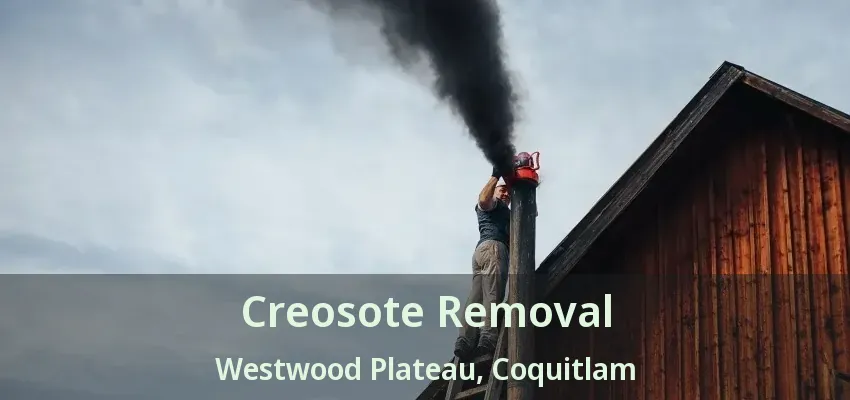 Creosote Removal Westwood Plateau, Coquitlam - BC