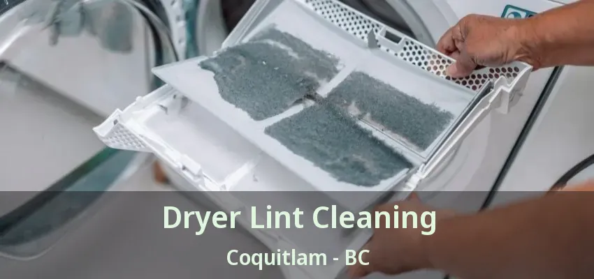 Dryer Lint Cleaning Coquitlam - BC