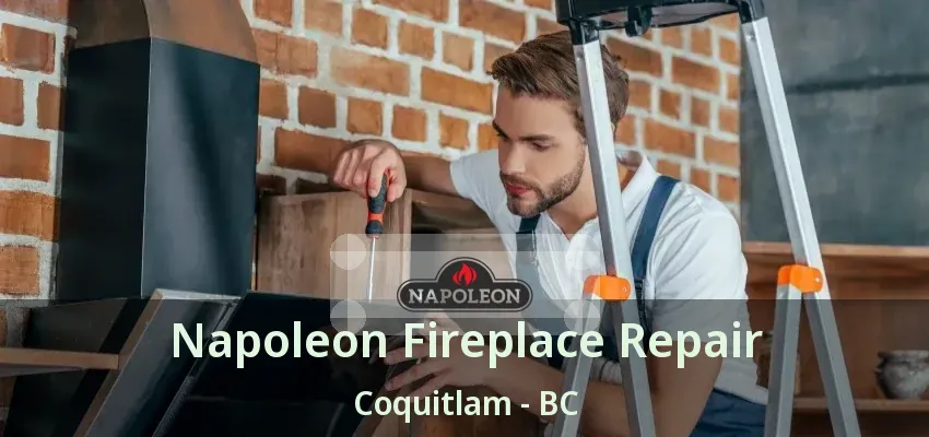 Napoleon Fireplace Repair Coquitlam - BC