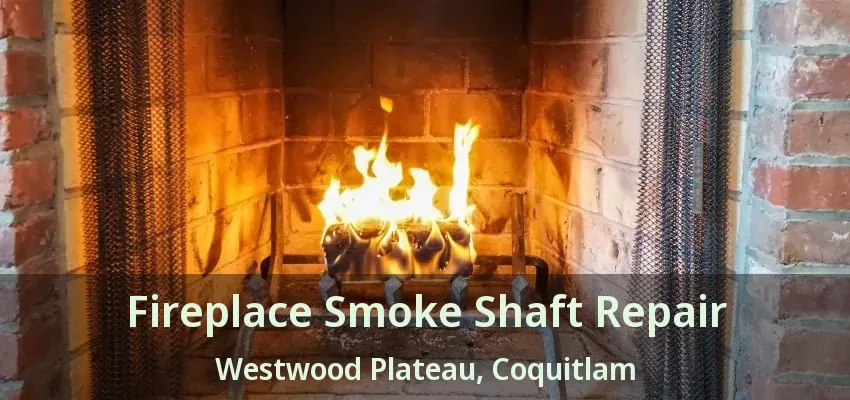 Fireplace Smoke Shaft Repair Westwood Plateau, Coquitlam - BC