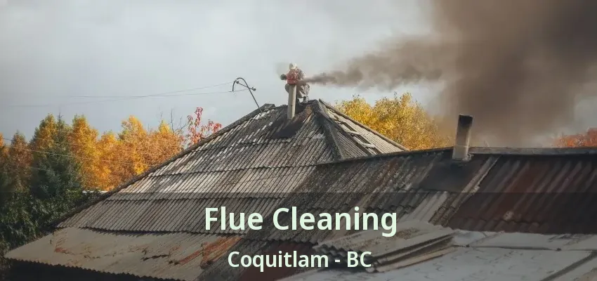 Flue Cleaning Coquitlam - BC