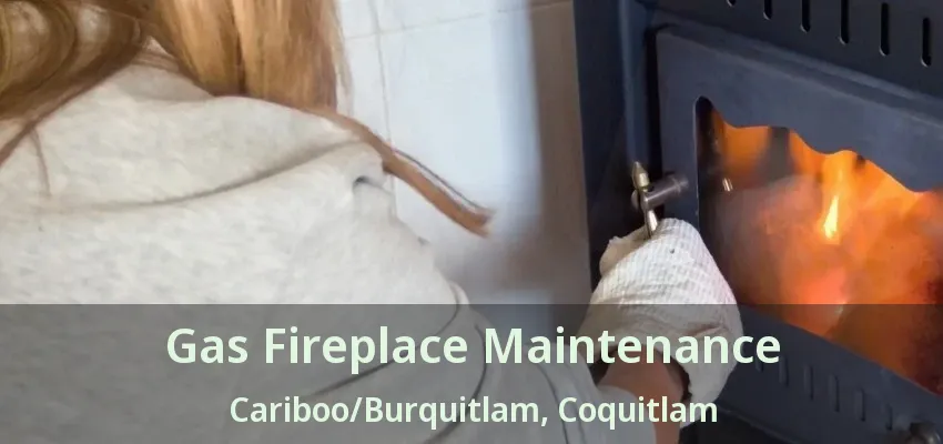 Gas Fireplace Maintenance Cariboo/Burquitlam, Coquitlam - BC