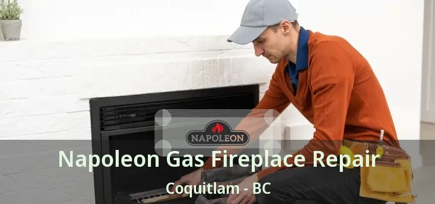 Napoleon Gas Fireplace Repair Coquitlam - BC