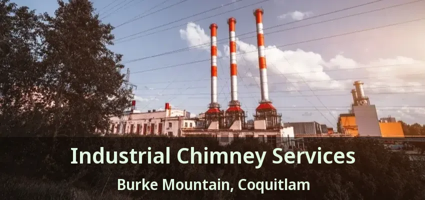 Industrial Chimney Services Burke Mountain, Coquitlam - BC