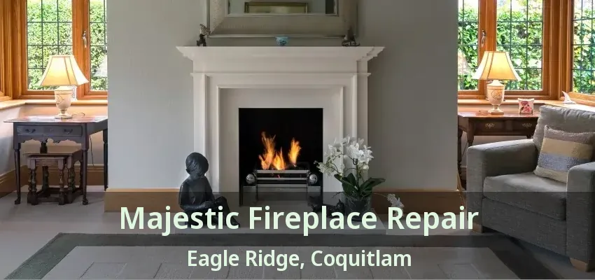 Majestic Fireplace Repair Eagle Ridge, Coquitlam - BC