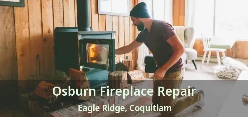 Osburn Fireplace Repair Eagle Ridge, Coquitlam - BC
