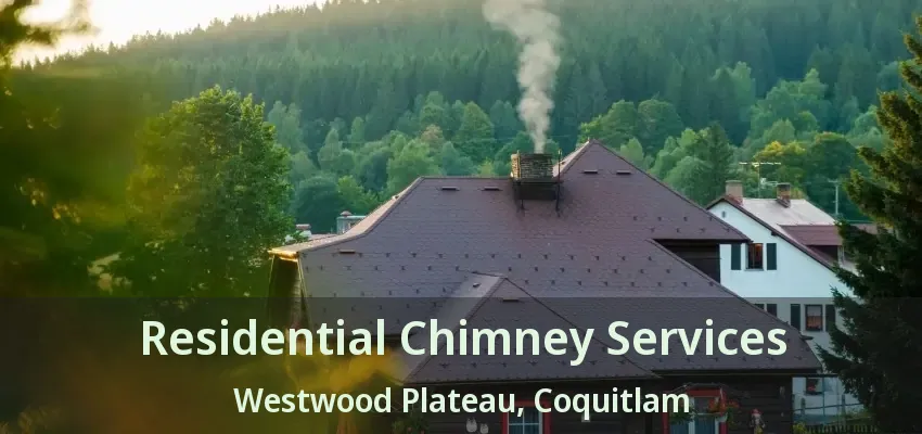 Residential Chimney Services Westwood Plateau, Coquitlam - BC