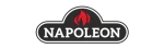 Napoleon Enviro Fireplace Repair in Coquitlam