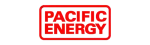 Pacific Energy Enviro Fireplace Repair in Coquitlam