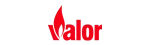 Valor Enviro Fireplace Repair in Coquitlam